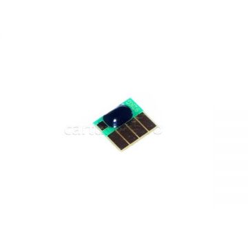 Chip-uri autoresetabile pentru cartuse HP-364 Photo Black